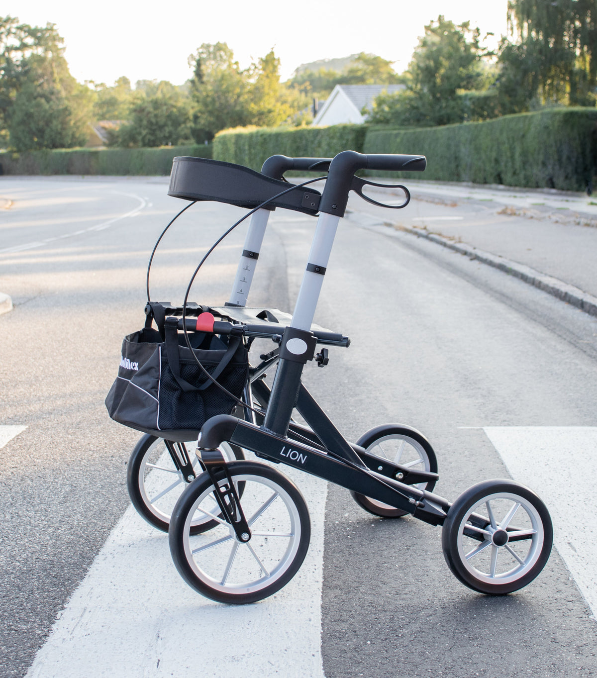 Lion Outdoor-Rollator mit extra großen Rädern