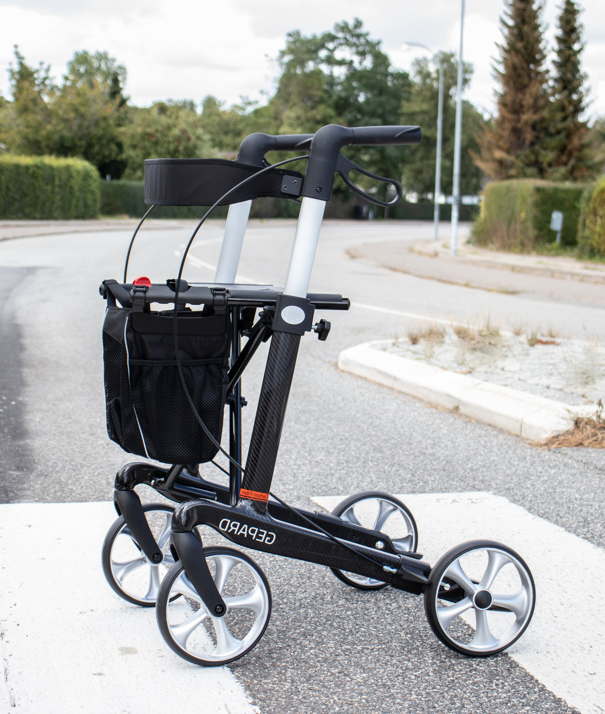 Gepard Kohlefaser-Rollator