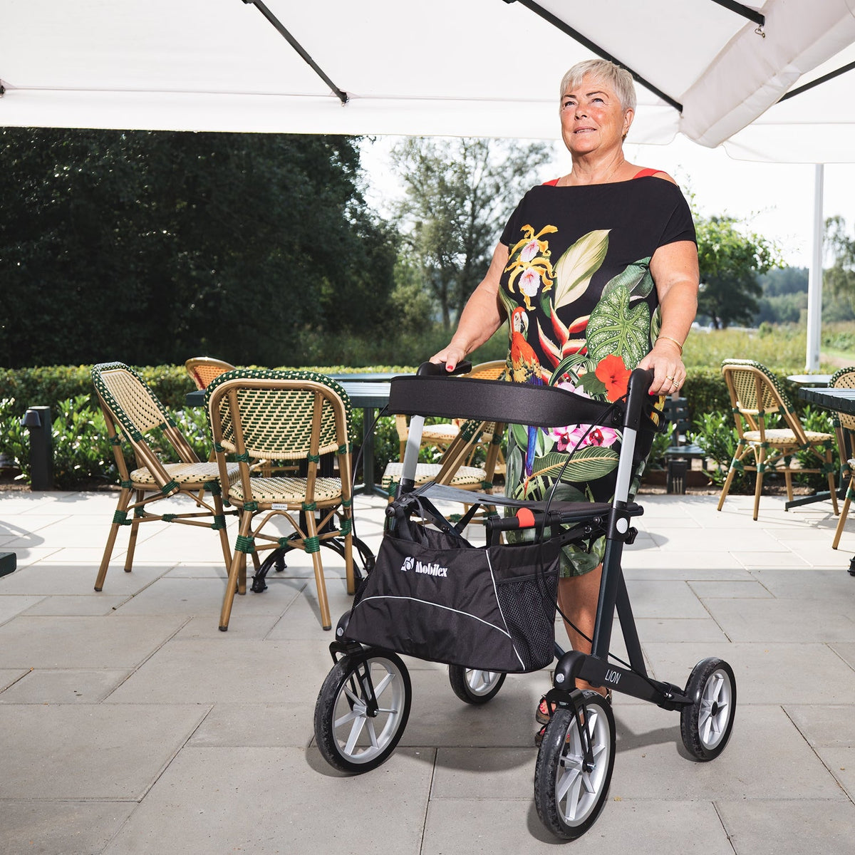 Lion Outdoor-Rollator mit extra großen Rädern