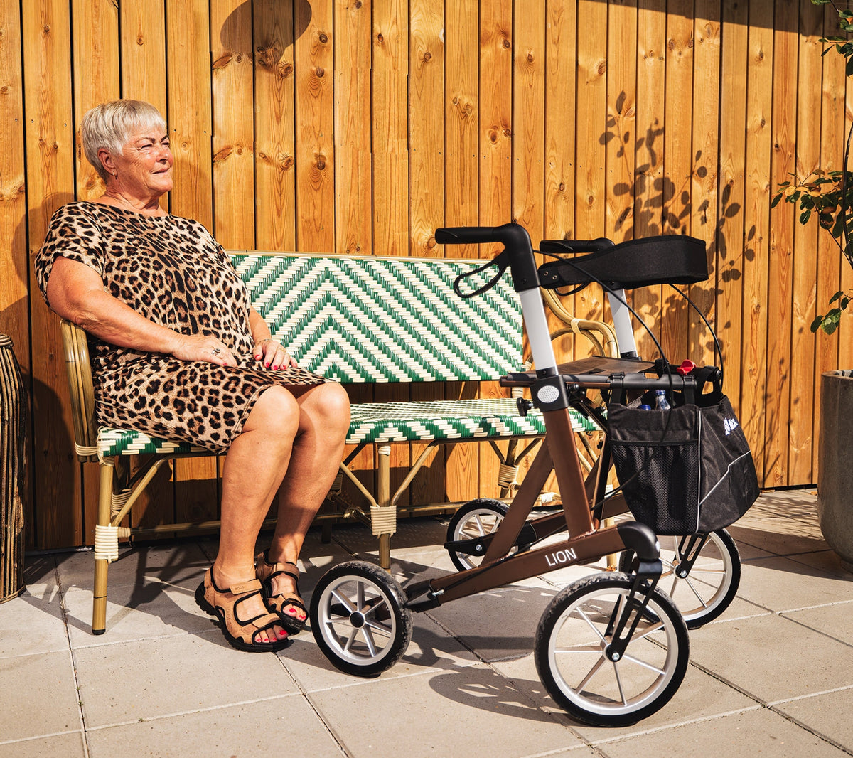 Lion Outdoor-Rollator mit extra großen Rädern