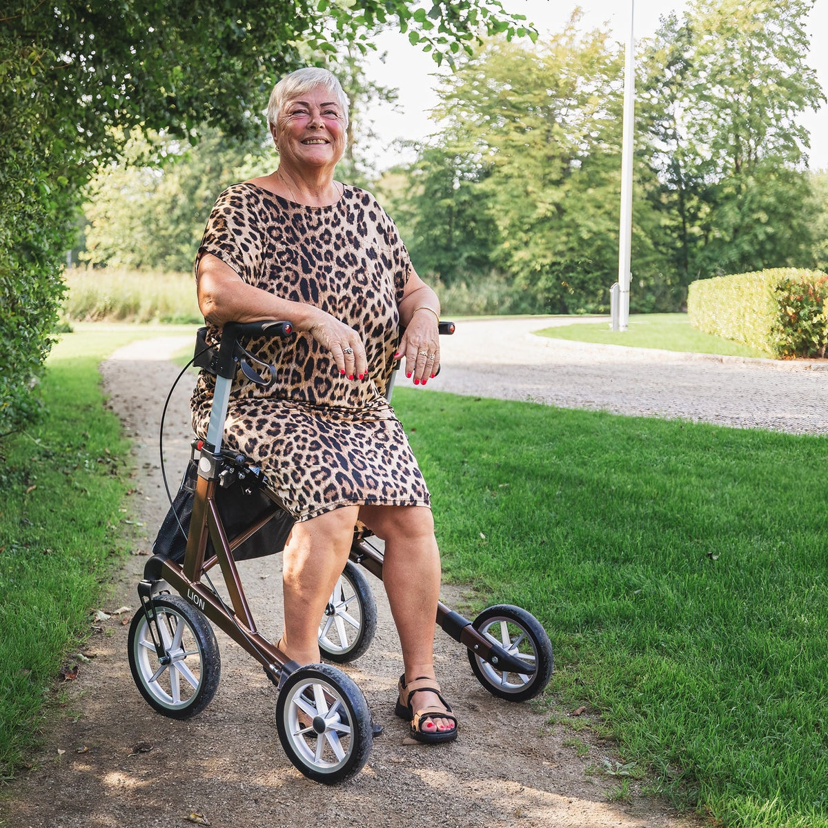 Lion Outdoor-Rollator mit extra großen Rädern