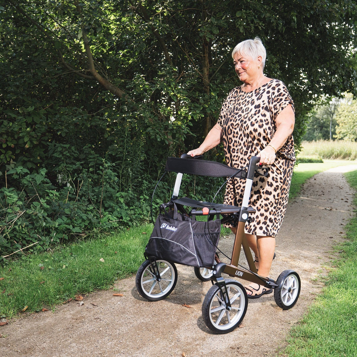 Lion Outdoor-Rollator mit extra großen Rädern
