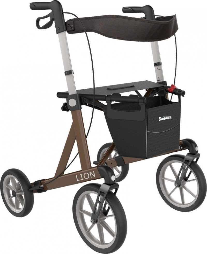 Lion Outdoor-Rollator mit extra großen Rädern