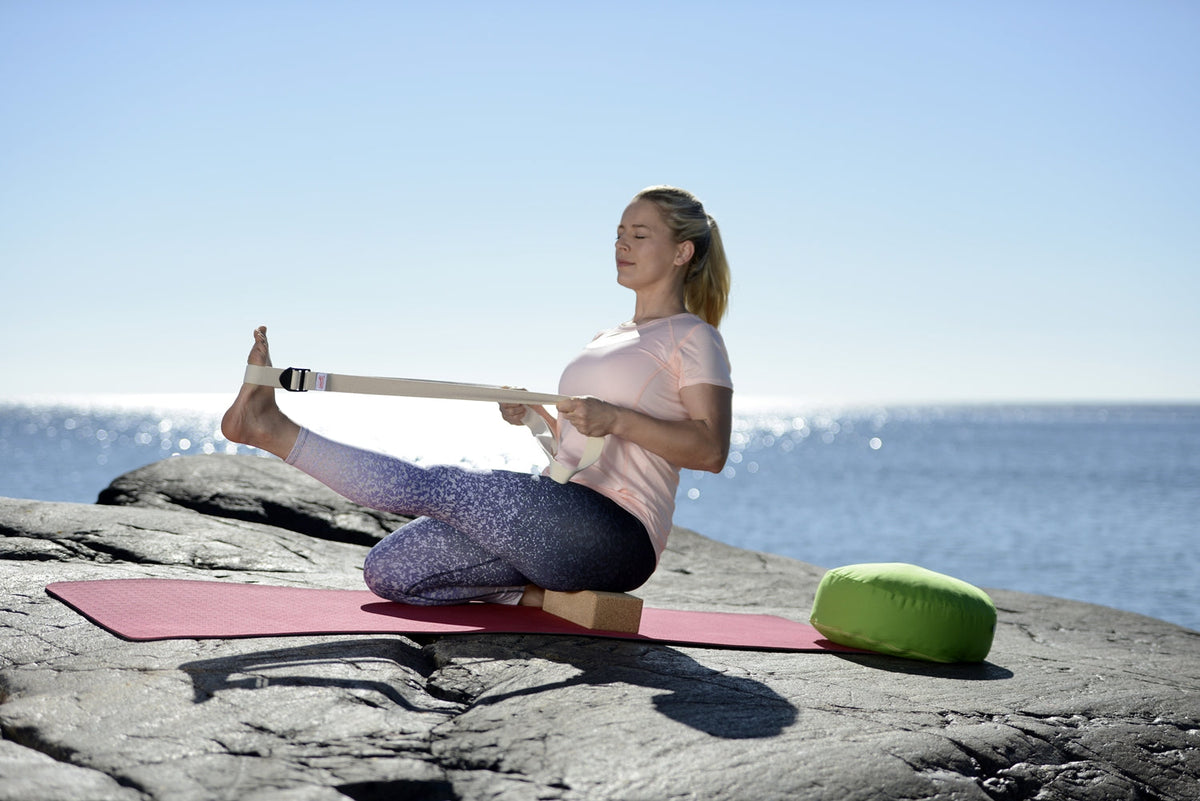 Sissel Yogagurt